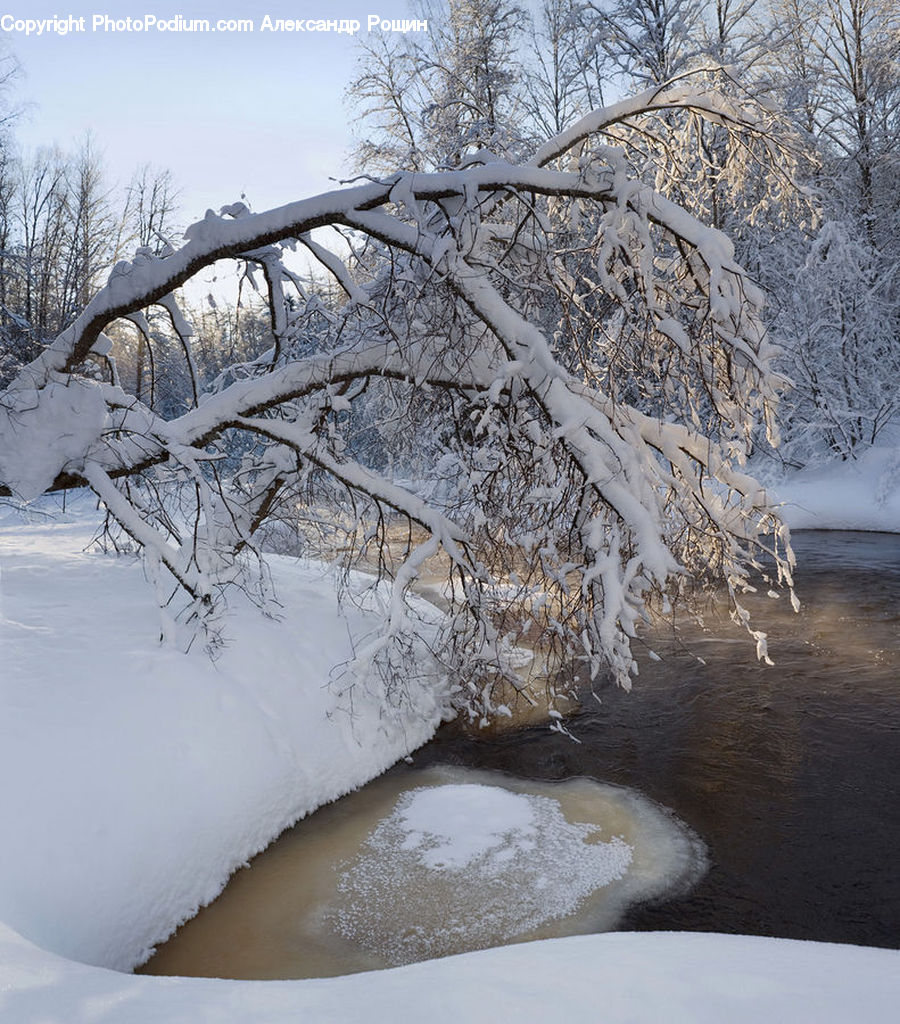 Landscape, Nature, Scenery