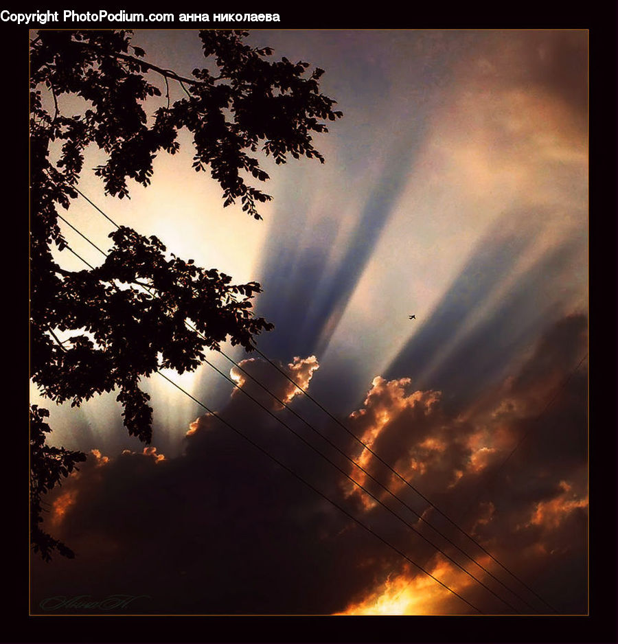 Azure Sky, Cloud, Outdoors, Sky, Flare, Light, Sunlight