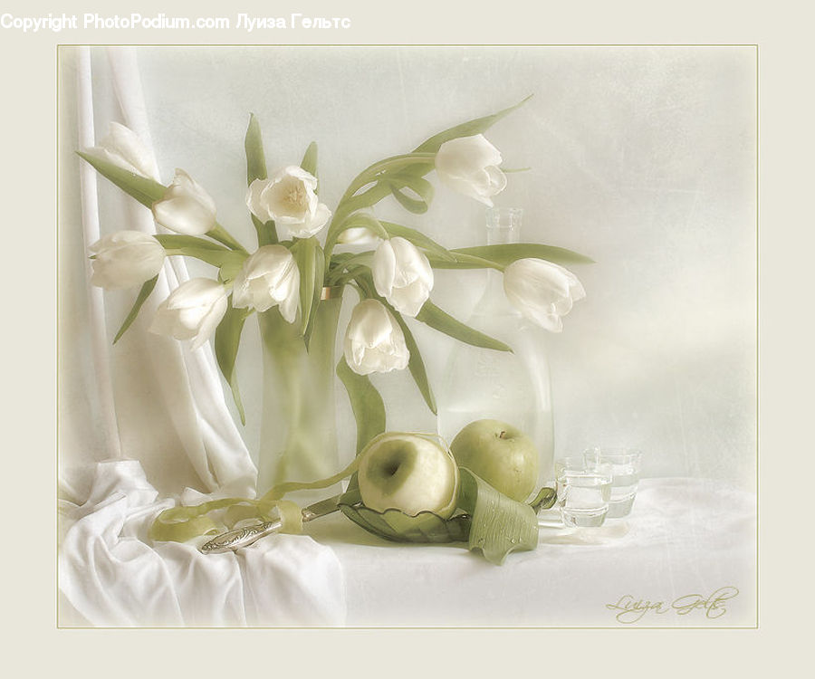 Donut, Food, Floral Design, Flower, Flower Arrangement, Flower Bouquet, Garlic