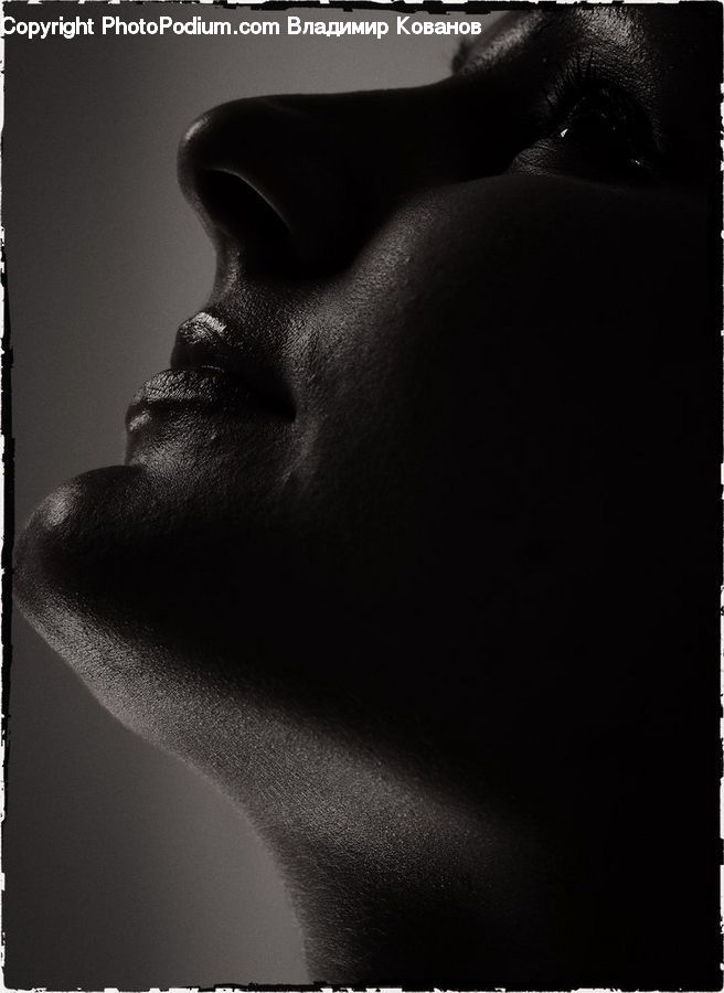 Person, Portrait, Selfie, Face