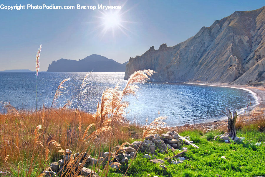 Rock, Coast, Outdoors, Sea, Water, Arctic, Glacier
