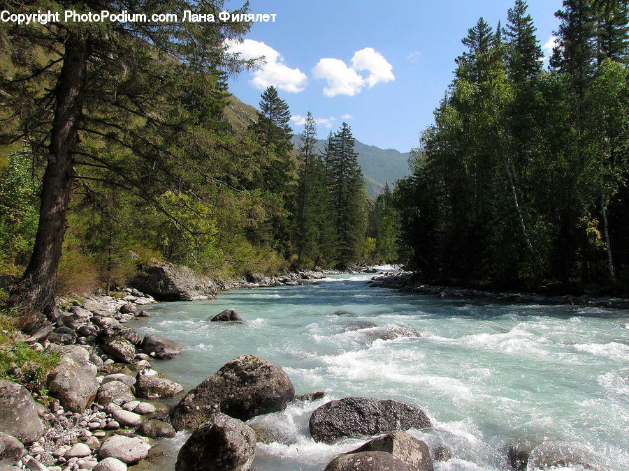 Creek, Outdoors, River, Water, Rock, Sea, Sea Waves