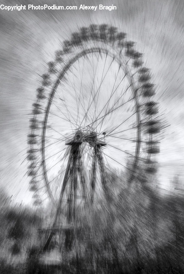 Ferris Wheel, Plant, Blossom, Flora, Flower