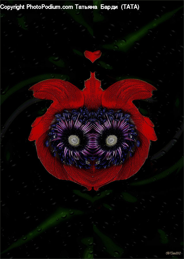 Blossom, Flora, Flower, Plant, Dahlia, Anemone