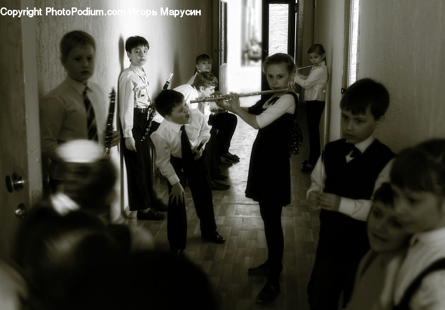People, Person, Human, Fiddle, Musical Instrument, Viola, Violin