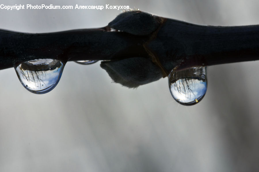 Droplet, Glass, Glasses, Goggles, Sunglasses, Headlight, Light