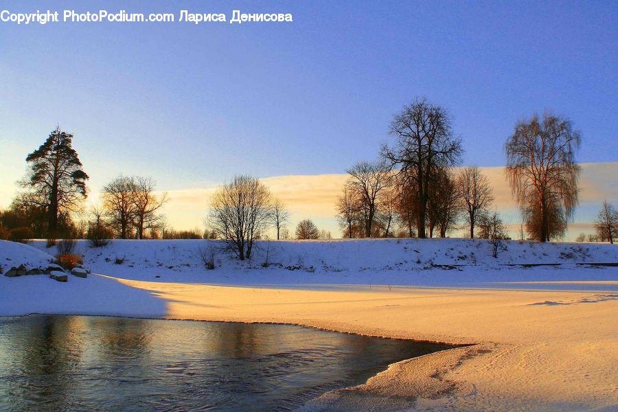 Ice, Outdoors, Snow, Plant, Tree, Landscape, Nature
