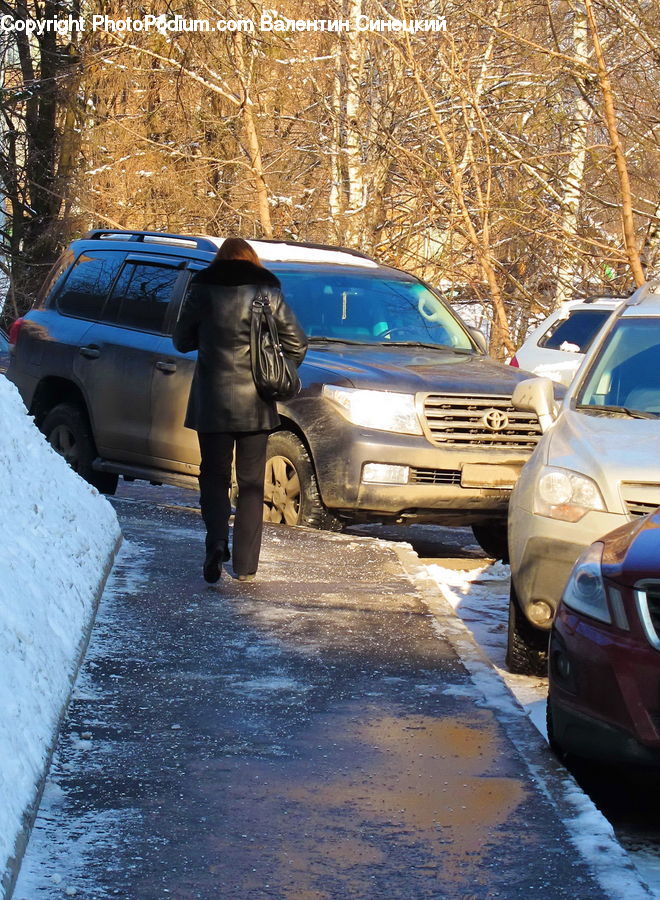People, Person, Human, Automobile, Car, Vehicle, Parking