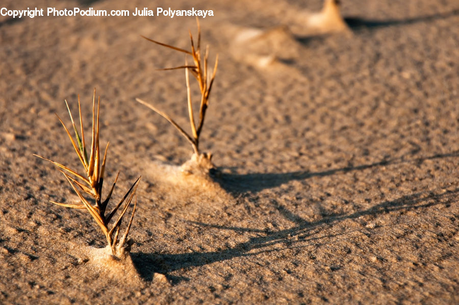 Soil, Ground, Dirt Road, Gravel, Road, Field, Grass