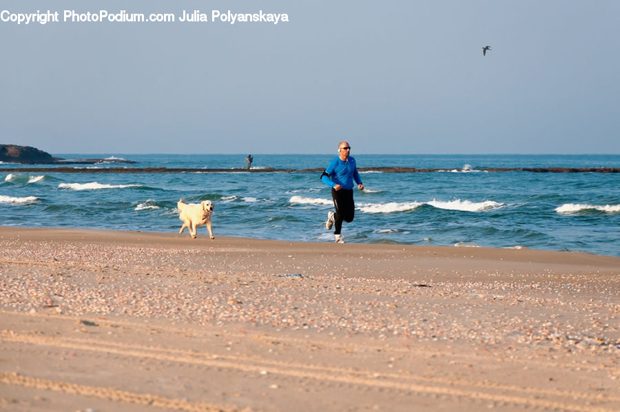 Beach, Coast, Outdoors, Sea, Water, Leisure Activities, Ocean