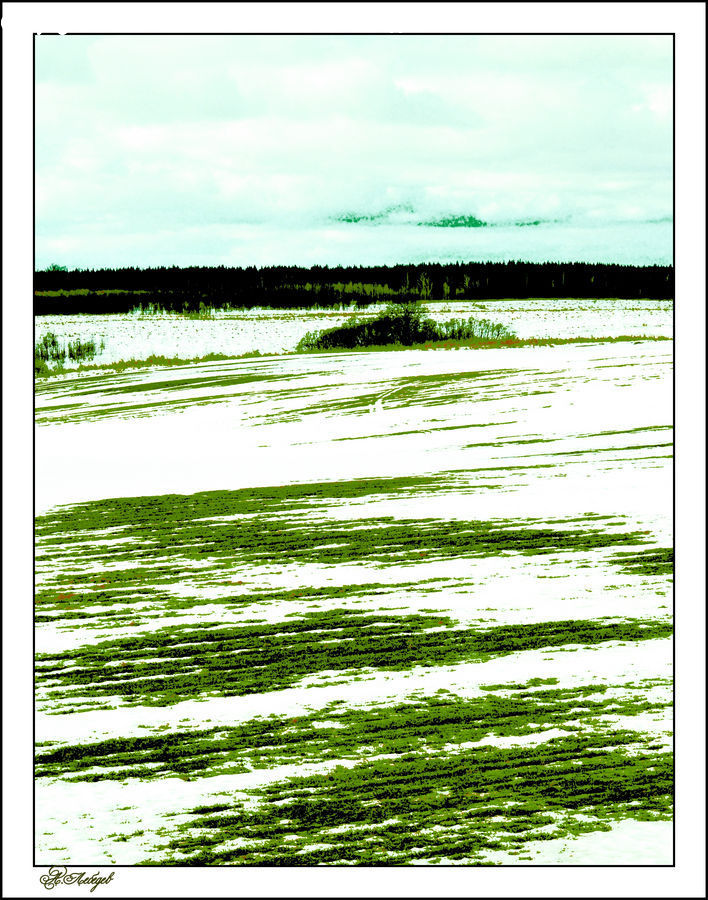 Collage, Poster, Brochure, Flyer, Paper, Field, Grass