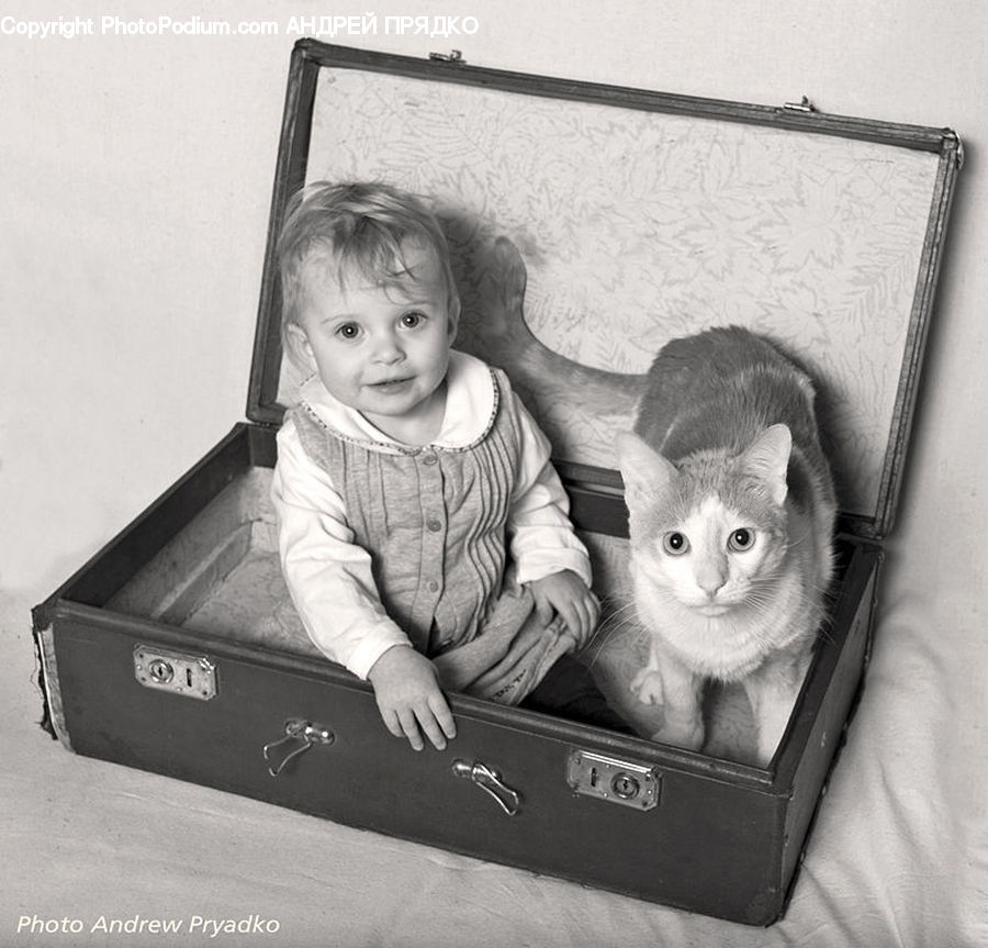 People, Person, Human, Box, Cardboard, Portrait