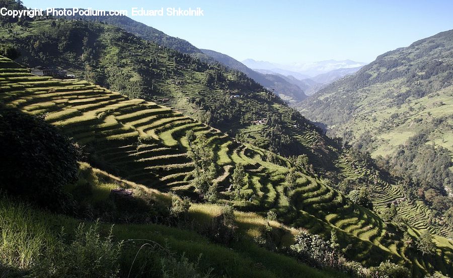 Mountain, Outdoors, Valley, Crest, Peak, Forest, Vegetation