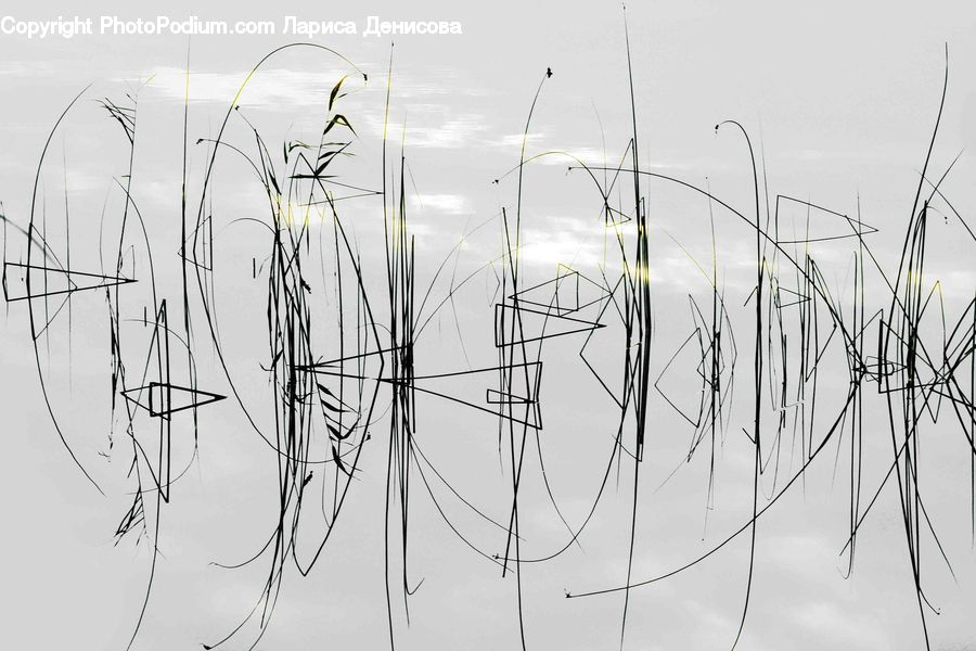 Grass, Plant, Reed, Drawing, Sketch, Field, Grassland