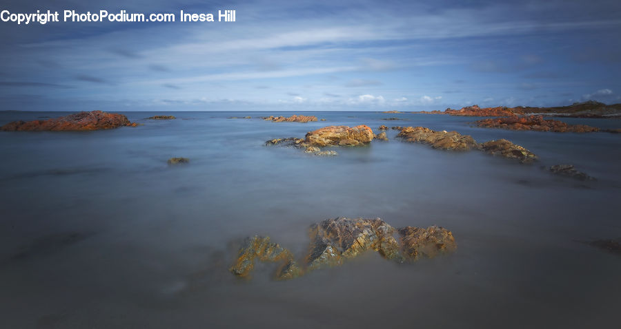 Beach, Coast, Outdoors, Sea, Water, Algae