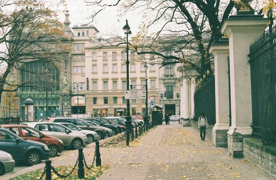 Automobile, Car, Vehicle, Bench, Building, Downtown, Town