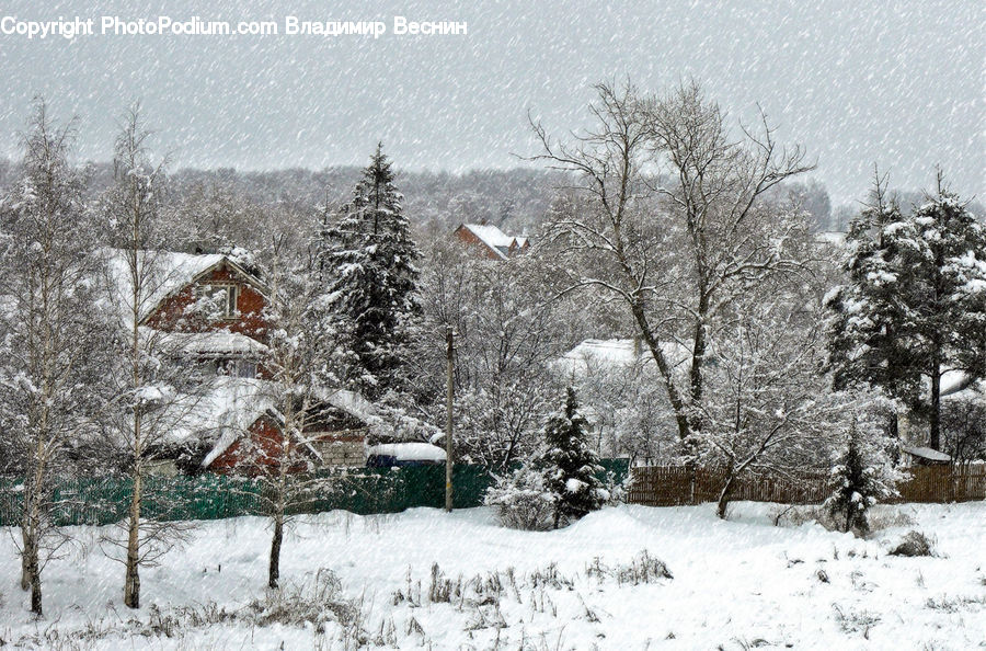 Blizzard, Outdoors, Snow, Weather, Winter, Ice, Landscape