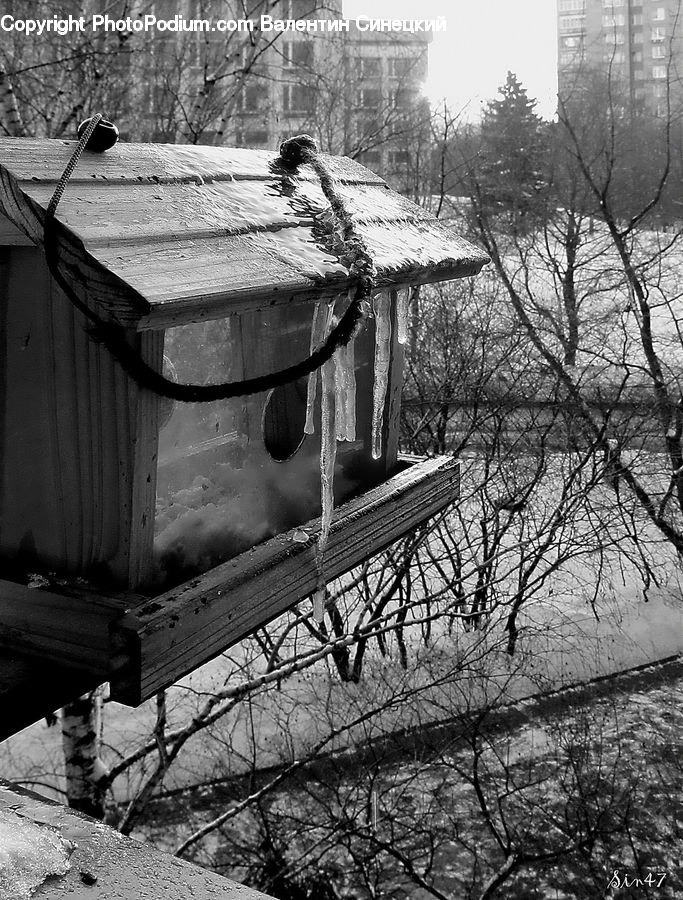 Cabin, Hut, Rural, Shack, Shelter, Dog House, Plant