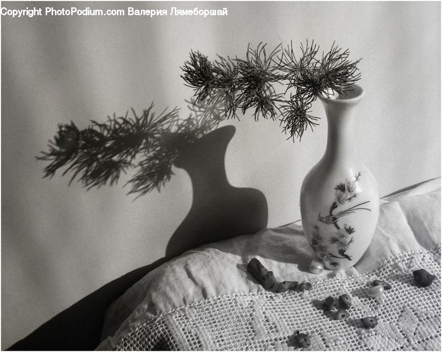 Plant, Potted Plant, Silhouette, Bonsai, Tree, Cushion, Home Decor