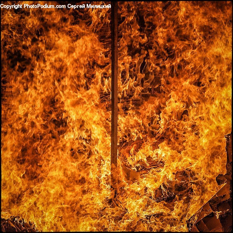 Rust, Fire, Flame, Conifer, Fir, Plant, Tree