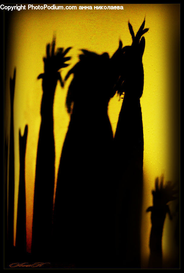 Silhouette, Plant, Potted Plant, Animal, Black Cat, Cat, Mammal