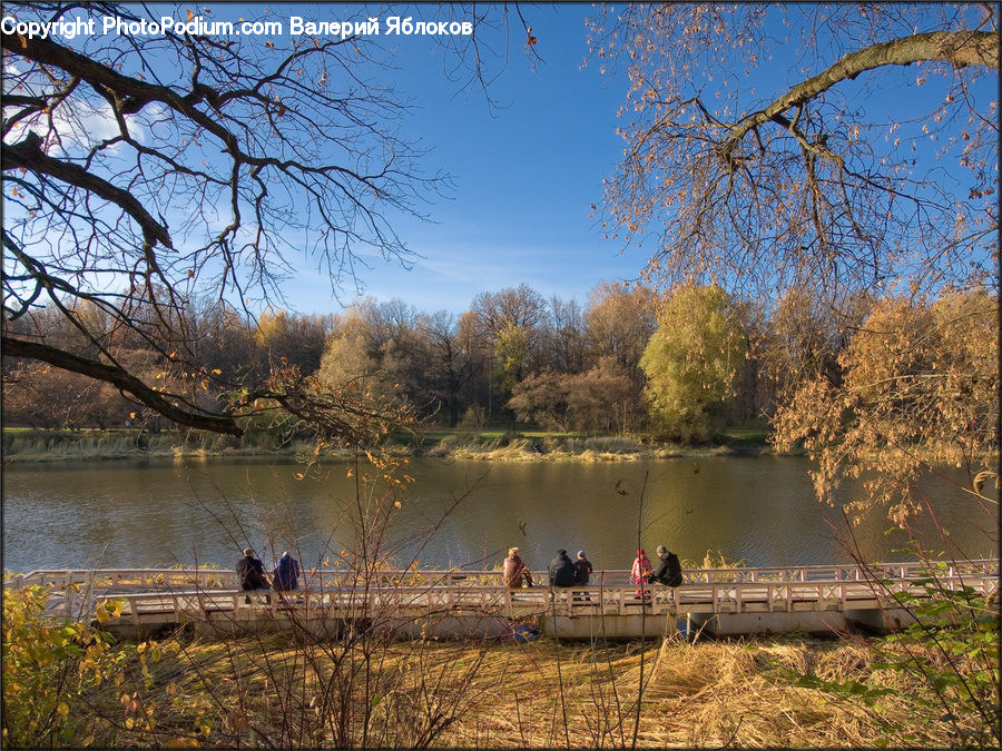 Park, Boat, Dinghy, Dock, Landing, Pier, Landscape