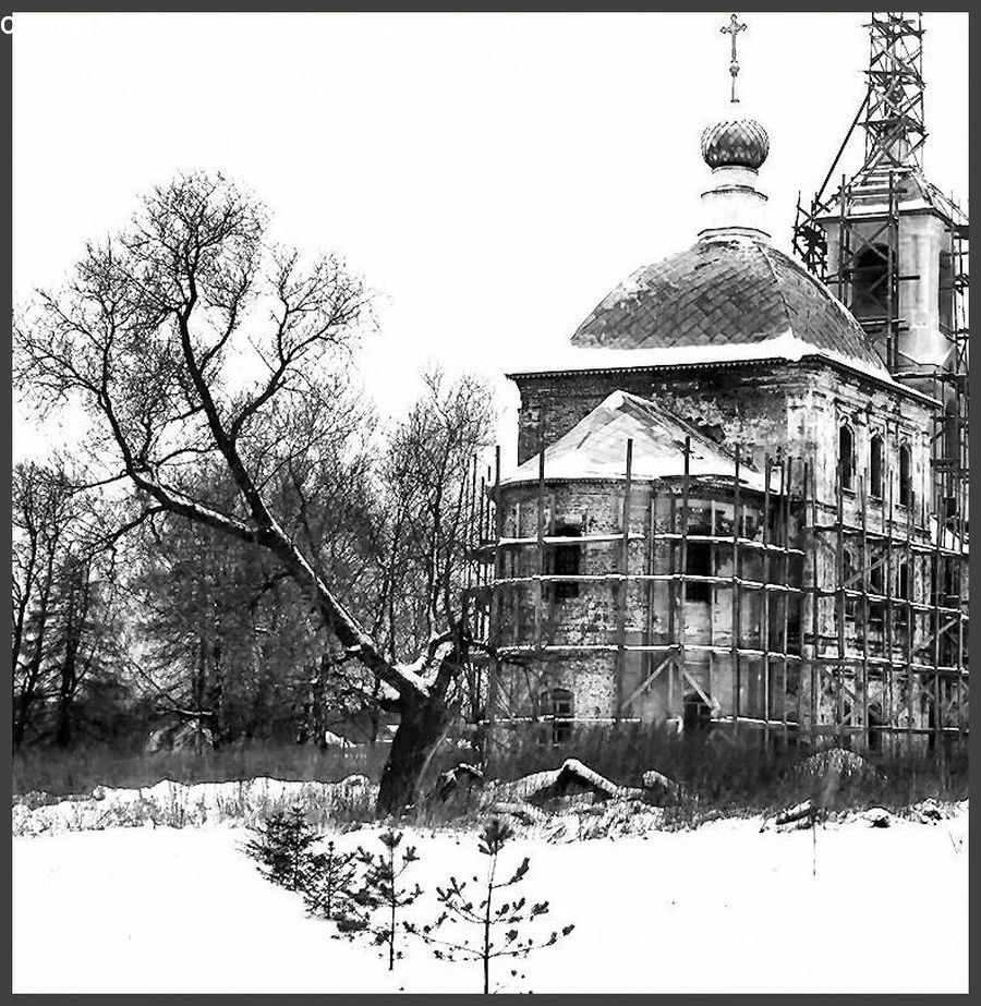 Cabin, Hut, Rural, Shack, Shelter, Architecture, Column