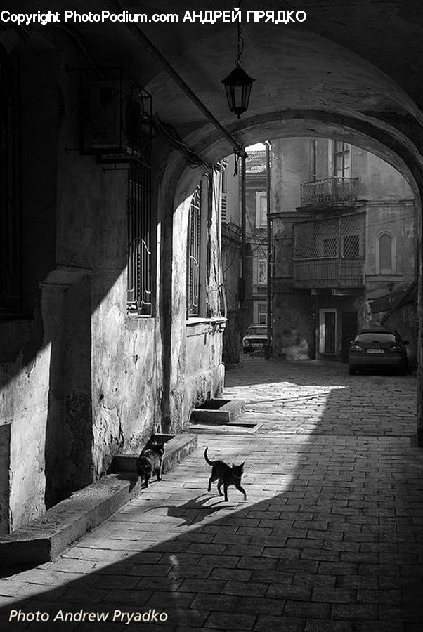 Automobile, Car, Vehicle, Alley, Alleyway, Road, Street