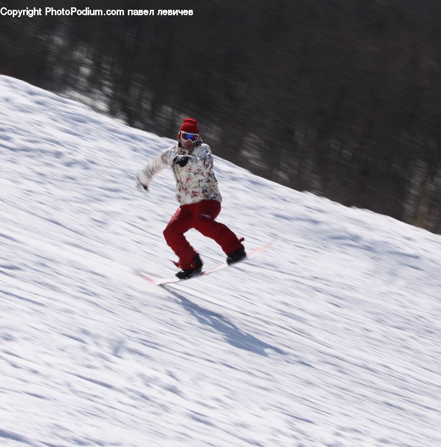 People, Person, Human, Piste, Skiing, Slide, Snow