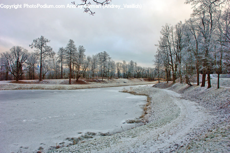 Dirt Road, Gravel, Road, Forest, Grove, Land, Frost