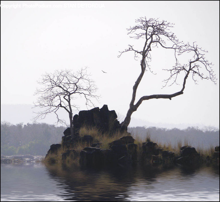 Cliff, Outdoors, Bunker, Plant, Tree, Rock, Fog