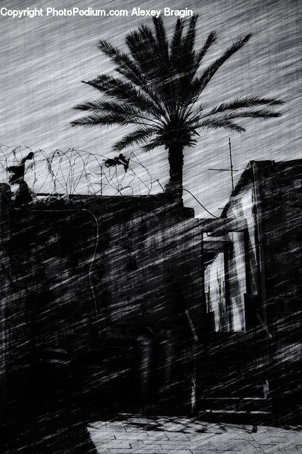 Brick, Alley, Alleyway, Road, Street, Town, Plant