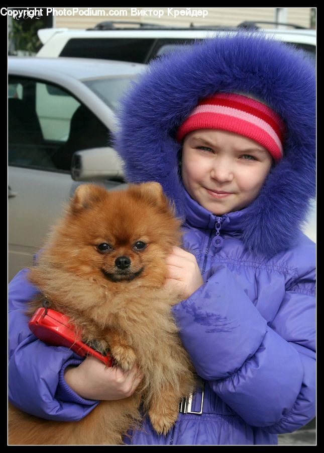 People, Person, Human, Animal, Chow, Dog, Pet