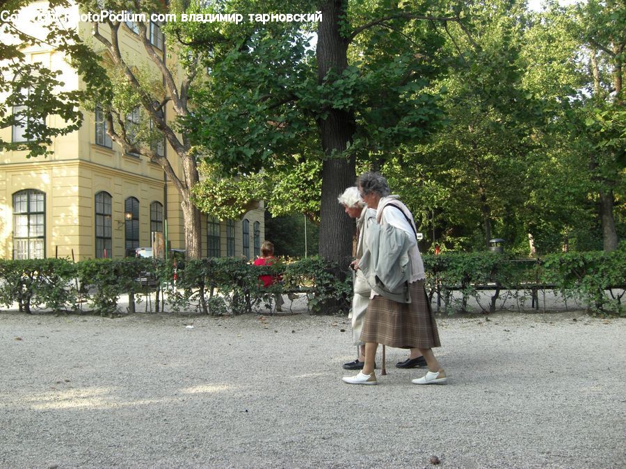 Human, People, Person, Plant, Potted Plant, Leisure Activities, Walking