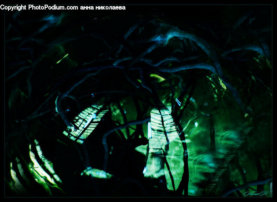 Aquarium, Aquatic, Sea Life, Water, Art, Modern Art, Lighting