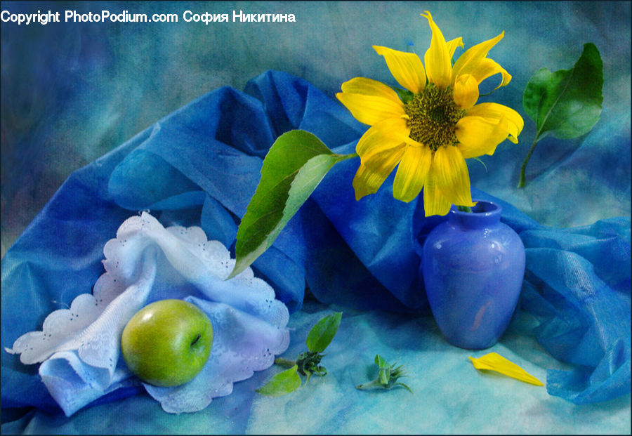 Blossom, Flora, Flower, Plant, Sunflower, Jar, Porcelain