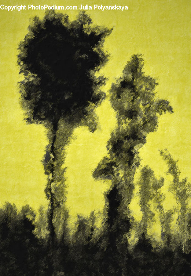 Conifer, Fir, Plant, Tree, Dirt Road, Gravel, Road