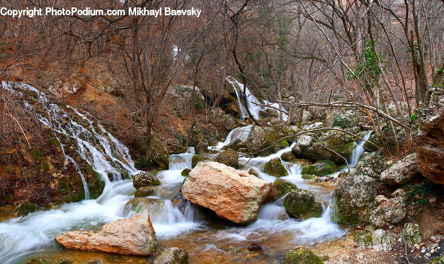 Creek, Outdoors, River, Water, Rock, Plant, Tree