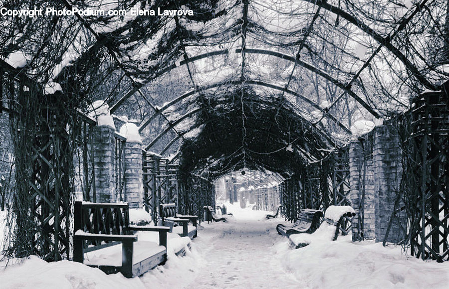 Blizzard, Outdoors, Snow, Weather, Winter, Ice