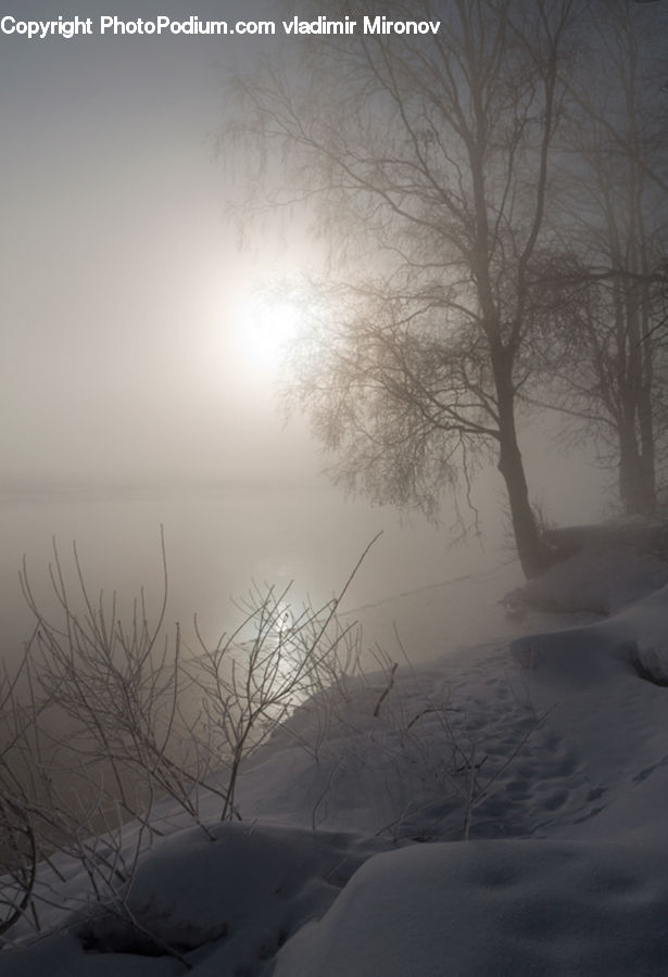 Blizzard, Outdoors, Snow, Weather, Winter, Landscape, Nature