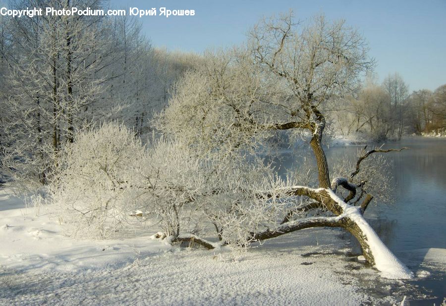 Frost, Ice, Outdoors, Snow, Landscape, Nature, Scenery