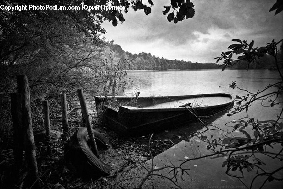 Plant, Potted Plant, Boat, Rowboat, Vessel, Forest, Grove