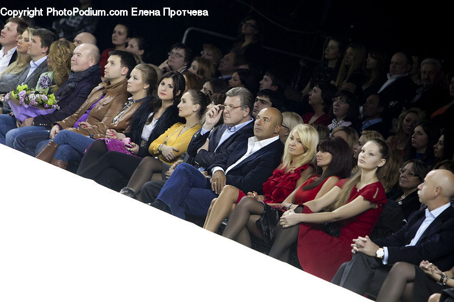 People, Person, Human, Audience, Crowd, Plant, Potted Plant