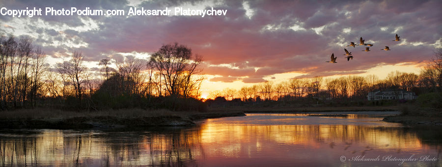 Dawn, Dusk, Red Sky, Sky, Sunrise, Sunset, Outdoors