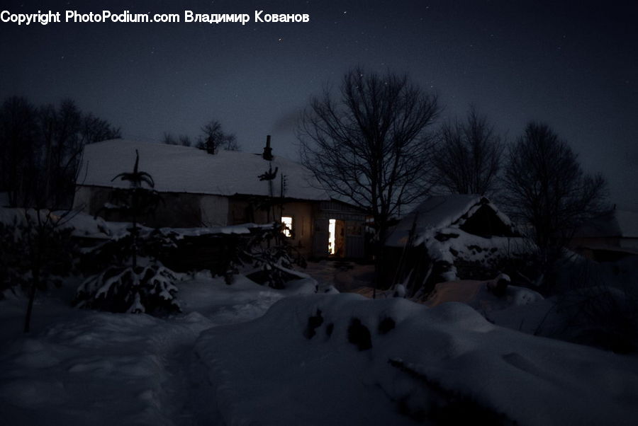 Plant, Potted Plant, Ice, Outdoors, Snow, Building, Cottage