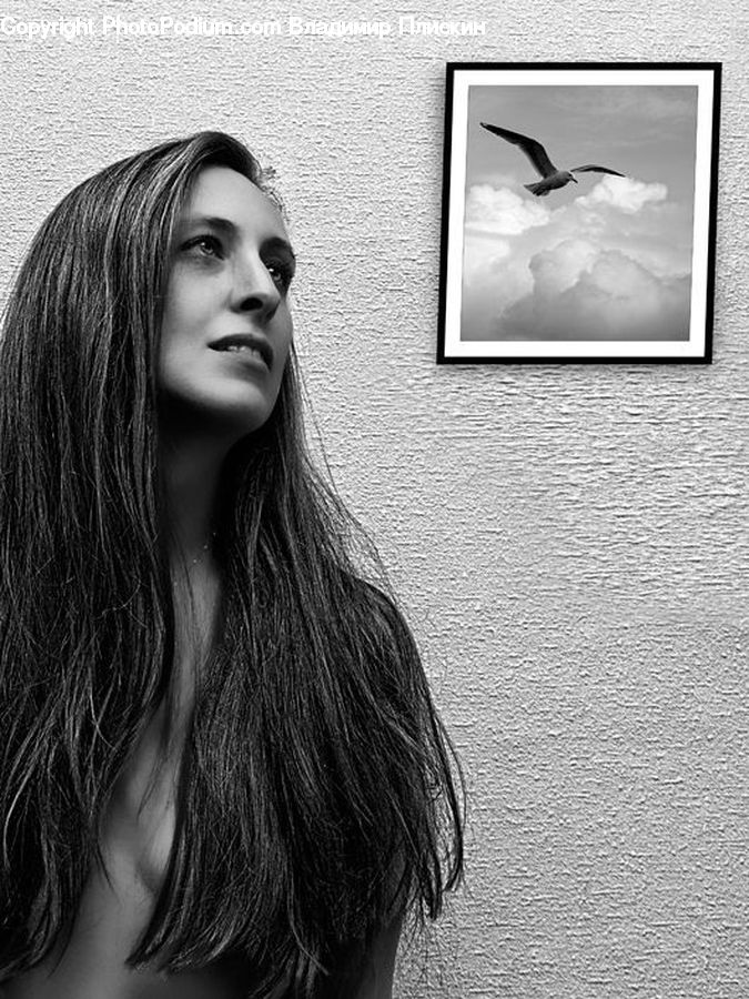 Human, People, Person, Portrait, Selfie, Bird, Seagull