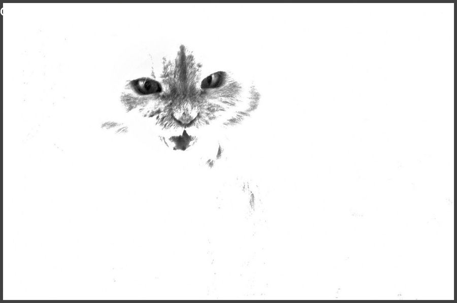 Art, Drawing, Arachnid, Garden Spider, Insect, Invertebrate, Spider