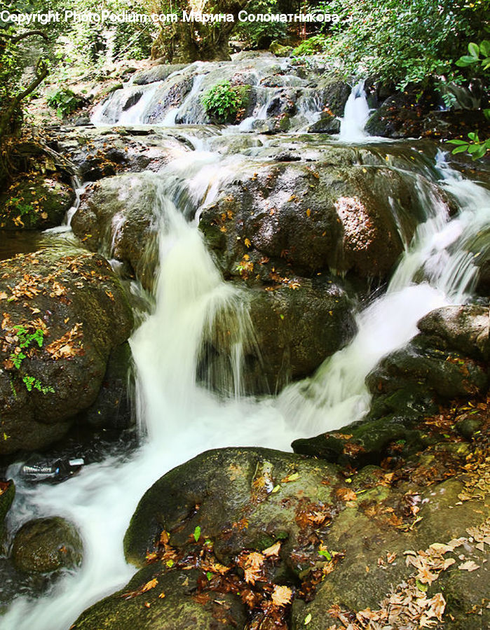 Creek, Outdoors, River, Water, Plant, Potted Plant, Waterfall