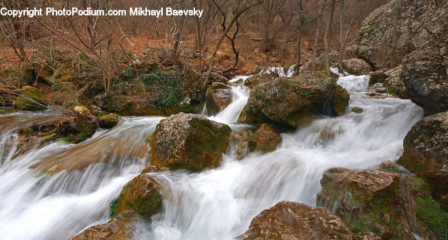 Creek, Outdoors, River, Water, Waterfall, Stream, Plant