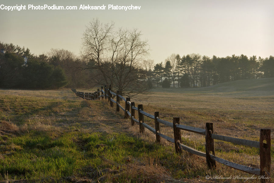 Fence, Field, Grass, Grassland, Land, Outdoors, Dirt Road